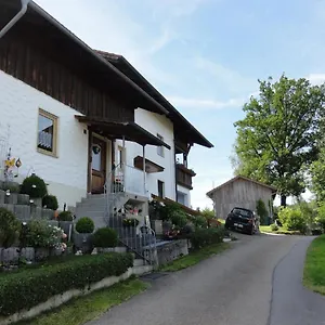 Waldweg Grafenwiesen